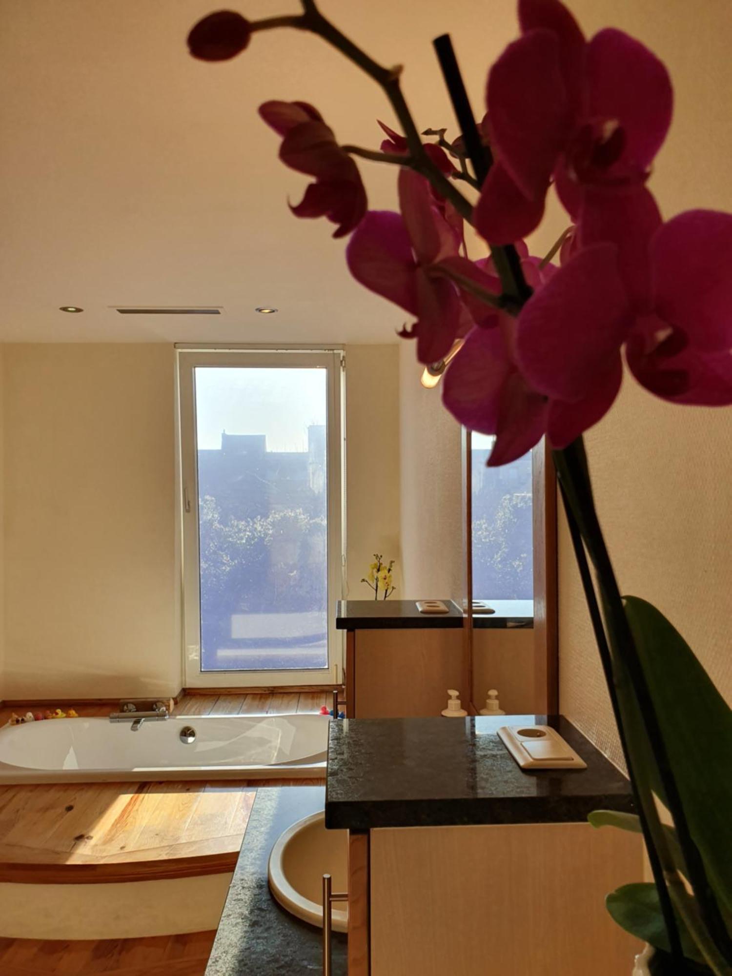 ミデルケルケ Huize La Passion Vacationhouse 10 Min Walk From The Seaヴィラ エクステリア 写真